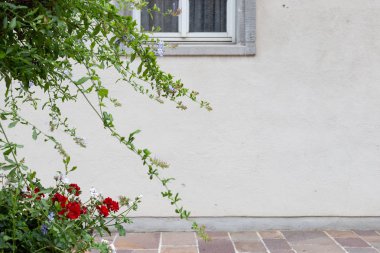 Güney Almanya şehir schwaebisch gmuend tarihi şehir, çiçekler ve Saksı bitki örtüsü ile antik taş cephe