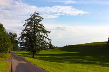 gökyüzü bulutlar ve yeşil çim ve ağaçların güneş ışınları, Allgau Güney Bavyera yatay