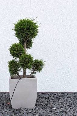 modern ev mimarisi city stuttgart yakınındaki Güney Almanya'da ilkbahar, kırsal kırsalında ayrıntıları cephe