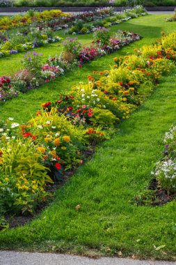 Şehir Parkı çiçek açan çiçekler, Güney Almanya şehir schwaebisch gmuend ilkbaharda, yeşil çim