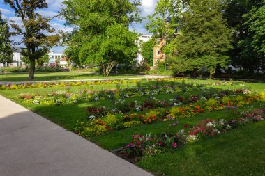 Şehir Parkı çiçek açan çiçekler, Güney Almanya şehir schwaebisch gmuend ilkbaharda, yeşil çim