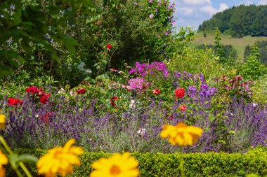 Güney Almanya allgau şehir wangen yakınındaki Bavyera tarzı kırsal kırsal yazlık bahçesinde çiçek açan çiçekler