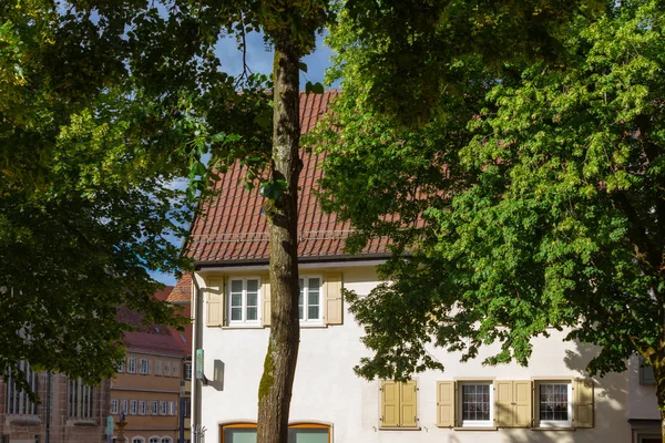 Hársfa Történelmi Egyház Déli Németország Város Schwaebisch Gmuend Közelében Metropole — Stock Fotó