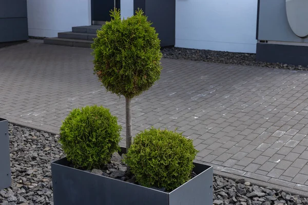 Şehir stuttgart yakınındaki güney Almanya kırsal banliyö sokakta modern siyah garaj