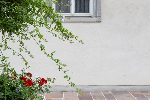 Güney Almanya şehir schwaebisch gmuend tarihi şehir, çiçekler ve Saksı bitki örtüsü ile antik taş cephe