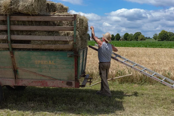 Збирання Причіп Тракторний Фермер Південній Німеччині Сільських Сільській Місцевості Літній — стокове фото