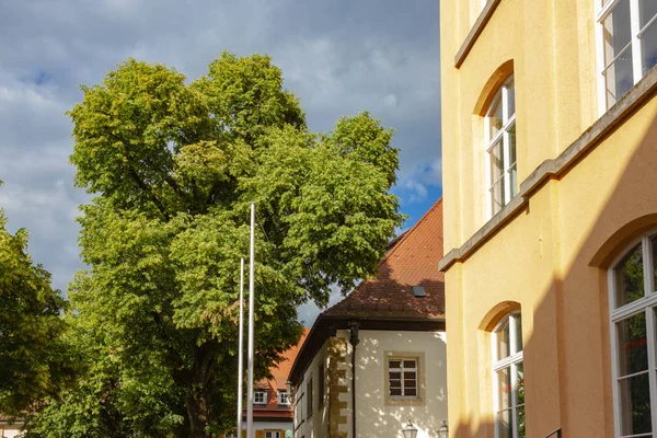 Linden Tree Kyrkans Historiska Plats Södra Tyskland Staden Schwaebisch Gmuend — Stockfoto