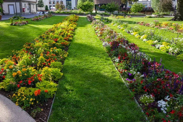 Parque Ciudad Floreciendo Flores Césped Verde Primavera Sur Alemania Ciudad — Foto de Stock