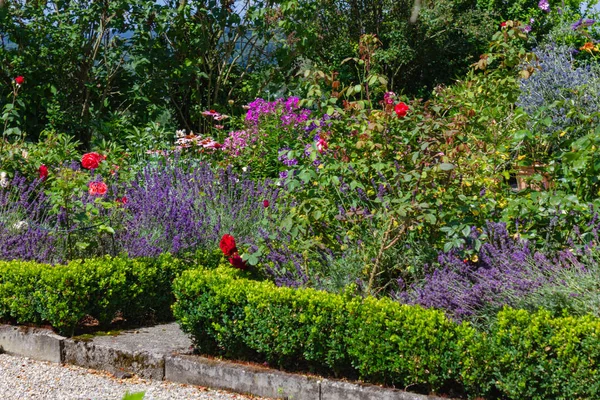 blooming flowers at cottage garden at bavarian style rural countryside of south germany allgau near city wangen