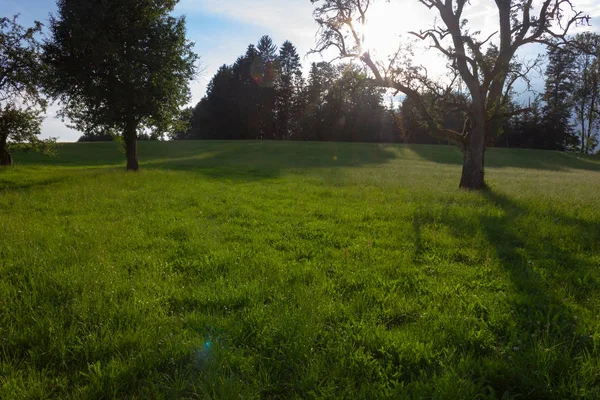 Meder Resort Zuiden Beierse Landschap Met Wolken Van Hemel Zon — Stockfoto