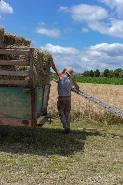 Harvesting Trailer Tractor Farmer South Germany Rural Countryside Summertime Bright — Stock Photo, Image