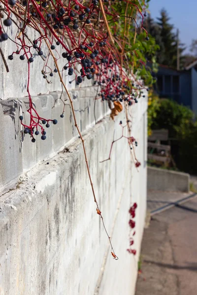 Concret Muur Buiten Een Garage Een Klein Stadje Zuid Duitsland — Stockfoto