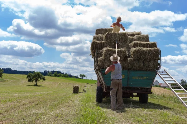 Yaz parlak gün römork traktör ve Güney Almanya kırsal kırsal çiftçi hasat