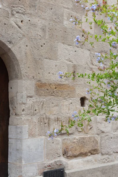 Fachada Pedra Antiga Com Flores Panelas Folhagem Cidade Histórica Sul — Fotografia de Stock