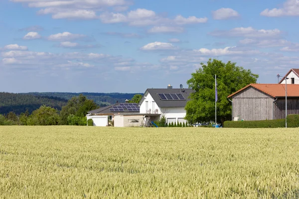 Güney Almanya kırsal Mısır tarlasında yakınındaki mavi gökyüzü altında ufukta kırsal köy evi