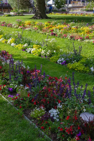 Parque Ciudad Floreciendo Flores Césped Verde Primavera Sur Alemania Ciudad — Foto de Stock