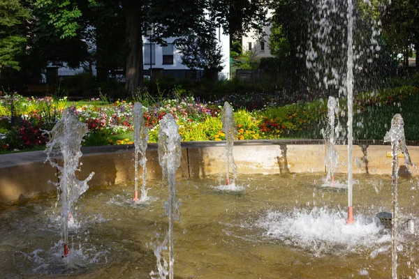 南ドイツ都市 Schwaebisch Gmuend で春日照日ロココ都市公園の歴史的な噴水 — ストック写真