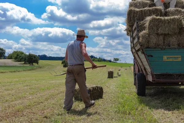 Збирання Причіп Тракторний Фермер Південній Німеччині Сільських Сільській Місцевості Літній — стокове фото