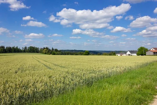 Casa Pueblo Rural Horizonte Bajo Cielo Azul Cerca Del Campo — Foto de Stock