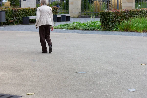 Idősebb Hölgy Van Egy Séta Városliget Ősz Németországban — Stock Fotó