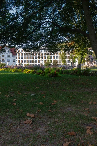 Gebäude Hinter Stadtparkbäumen Sonnigen Herbstnachmittagen Deutschland — Stockfoto