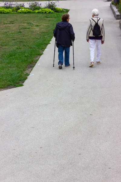 Casal Sênior Com Bengalas Parque Cidade Alemã Tarde Outono — Fotografia de Stock