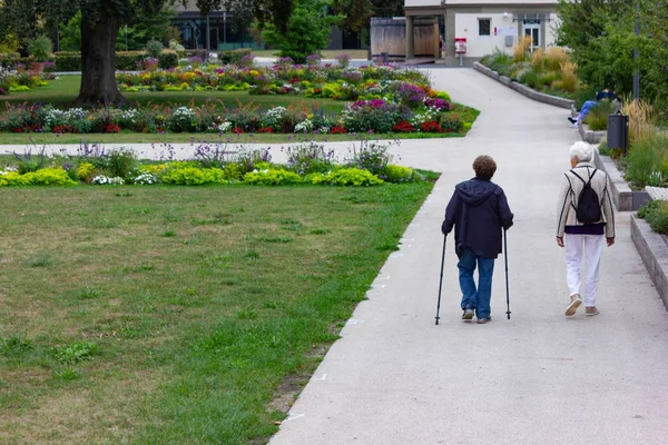 Pareja Ancianos Con Bastones Parque Alemán Ciudad Tarde Otoño — Foto de Stock