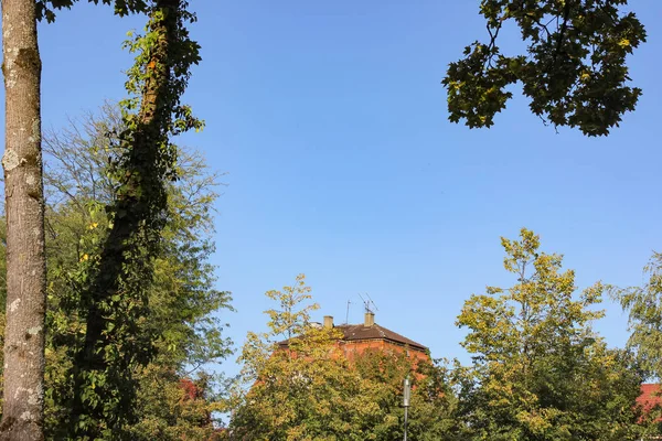 Будинки Місто Парку Дерева Осінній Сонячний Afternooon Німеччині — стокове фото