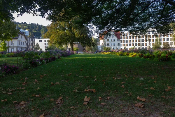 Edificios Detrás Los Árboles Del Parque Ciudad Otoño Tarde Soleada — Foto de Stock