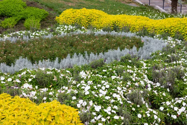 德国南部城市公园的花坛 — 图库照片