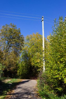 Elektrik direğinden ve kablo Alman kırsal kesimde.