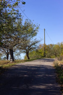 Elektrik direğinden ve kablo Alman kırsal kesimde.