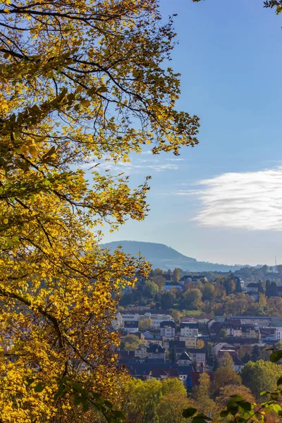 Bunte Pflanzen Einem Sonnigen Herbstnachmittag Süddeutschland — Stockfoto