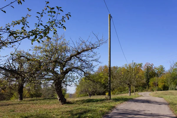 Palo Elettrico Cavo Nella Campagna Tedesca — Foto Stock