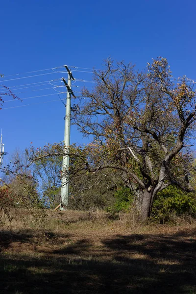 Strommast Und Kabel Auf Dem Land — Stockfoto