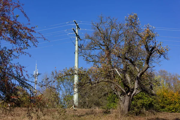 Elstolpe Och Kabel Tyska Landsbygden — Stockfoto