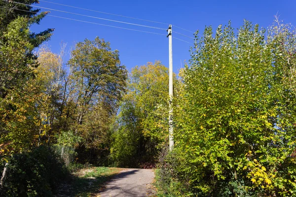 Palo Elettrico Cavo Nella Campagna Tedesca — Foto Stock