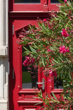 yakın tarihi bina cephe bitki yaz bak