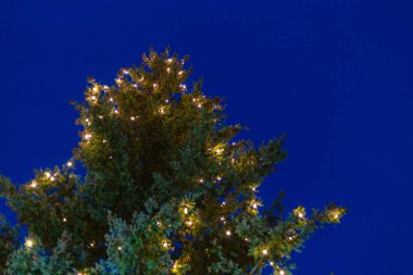 advent Aralık mavi saat gökyüzü güney Almanya'da pazar yerinde, Noel ağacı ışıkları