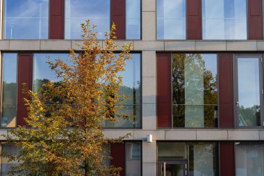 cam pencere cephesi ile sonbahar öğleden sonra Güney Almanya'da ofis
