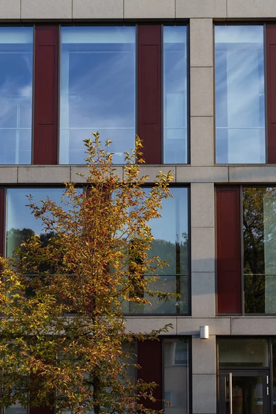 Edificio Oficinas Con Fachada Ventana Vidrio Tarde Otoño Sur Alemania — Foto de Stock