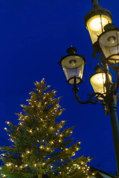 Christmas Tree Lights Market Place Advent December Blue Hour Sky — Stock Photo, Image