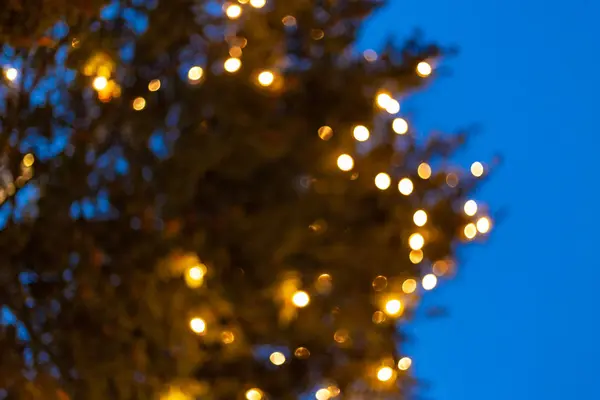 Lumières Sapin Noël Sur Place Marché Avent Décembre Ciel Heure — Photo