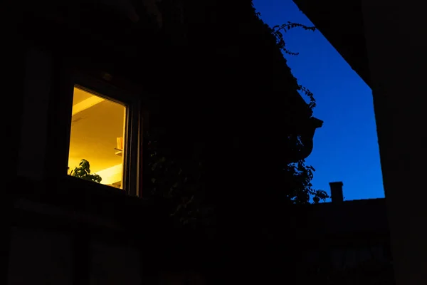 Historiska Byggnader Windows Och Lampa Ljus Hösten Sent Kvällen Blå — Stockfoto