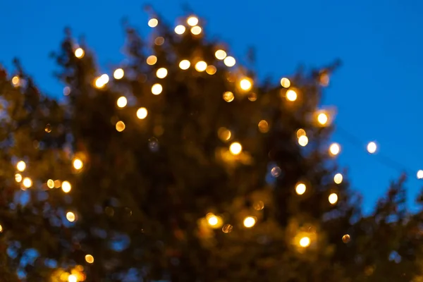 Lumières Sapin Noël Sur Place Marché Avent Décembre Ciel Heure — Photo