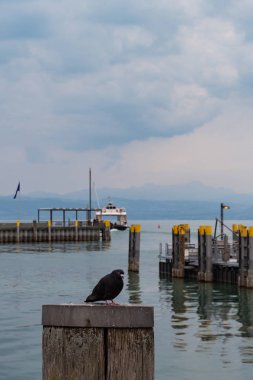 Güney Almanya Konstanz Gölü iskele ve liman kurulumlarda kuş