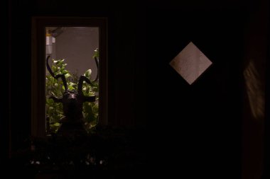 Noel dekorasyon cephe ve windows ile led ışık ve yeşil dallar ve şekil geyik kafası