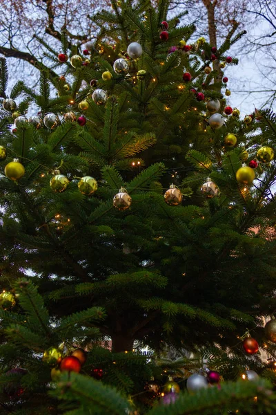 Geschmückter Weihnachtsbaum Blauen Himmel Süddeutschland Advent Dezember Monat — Stockfoto