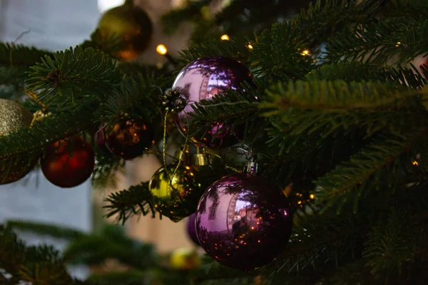 Branches Arbre Noël Décorées Dans Sud Allemagne Avent Décembre Mois — Photo