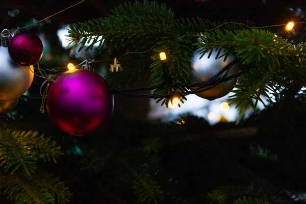 Branches Arbre Noël Décorées Dans Sud Allemagne Avent Décembre Mois — Photo